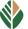 上海棕榈电脑系统有限公司