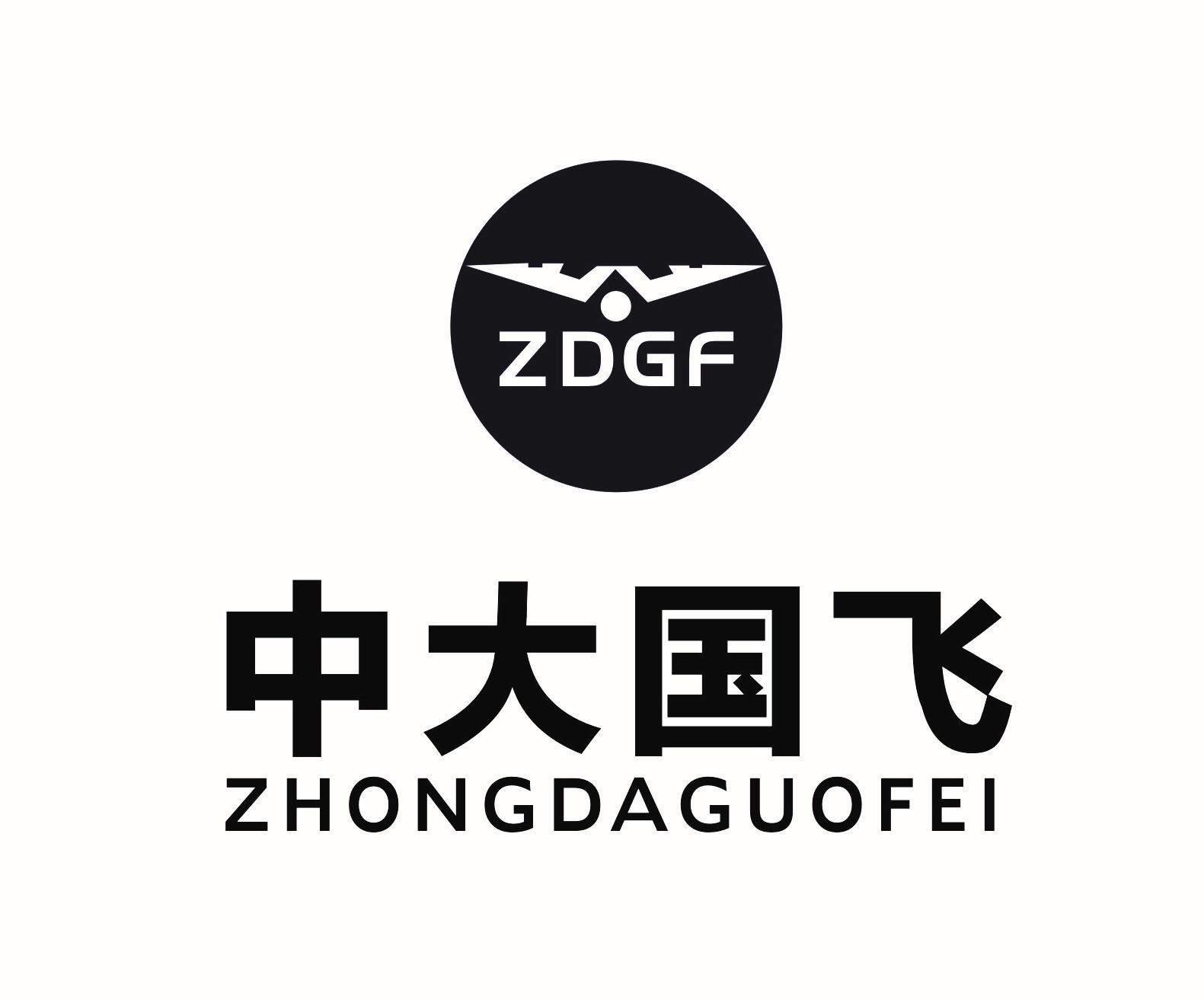 中大国飞（北京）航空科技有限公司