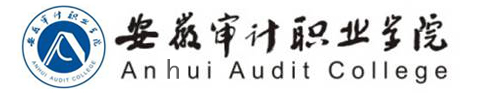安徽审计职业学院