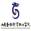 山东圣翰财贸职业学院