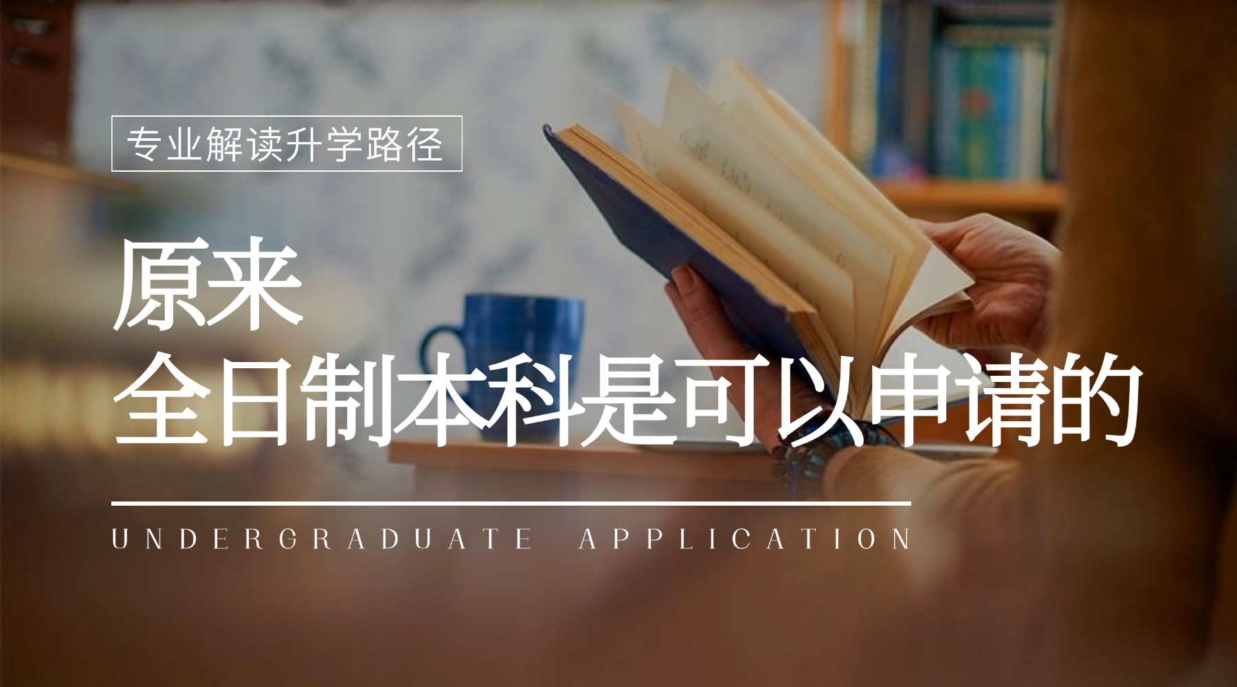 国际本科双学士学位