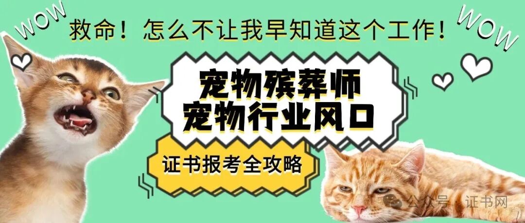 救命！怎么不让我早知道这个工作！宠物殡葬师-宠物行业风口——2025年证书报考全攻略