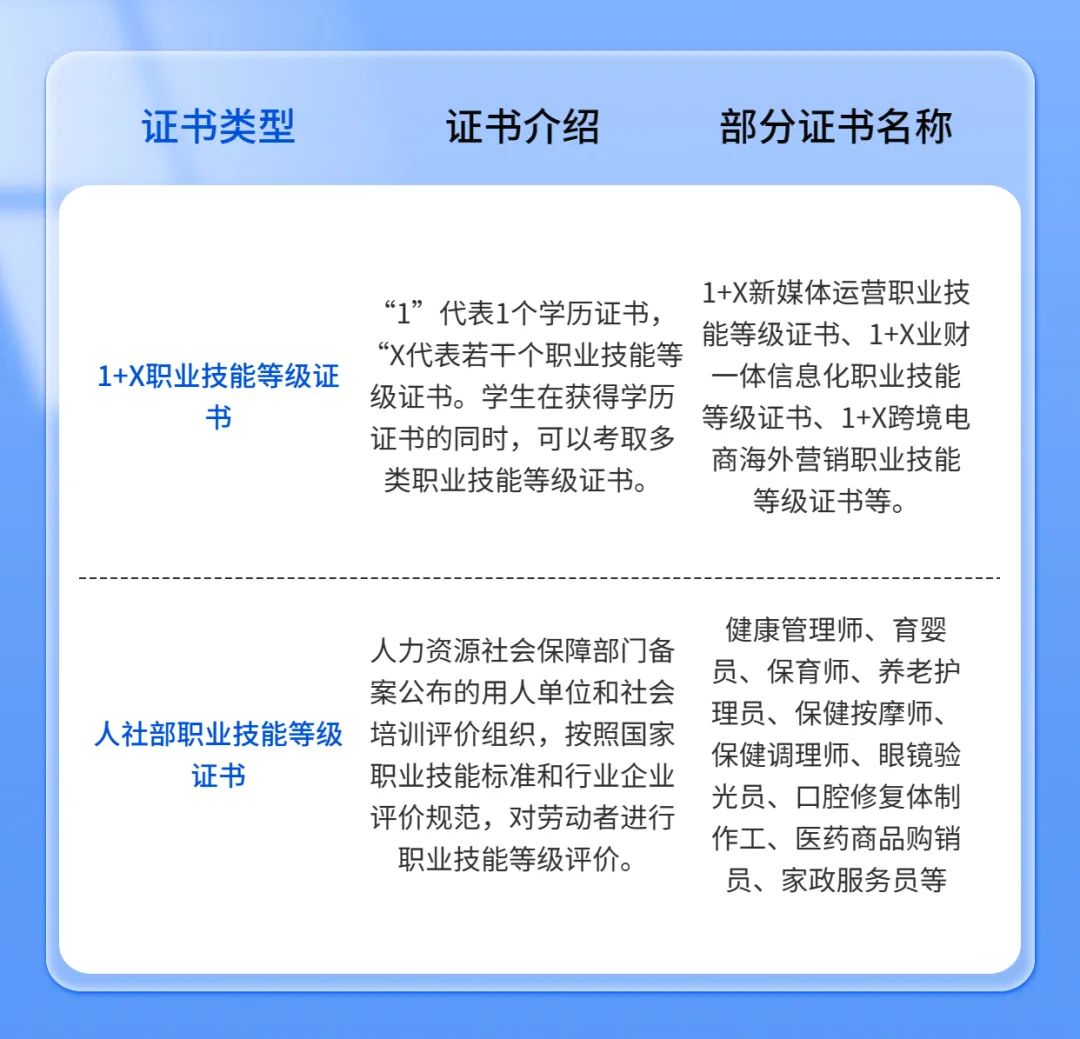 1+X证书