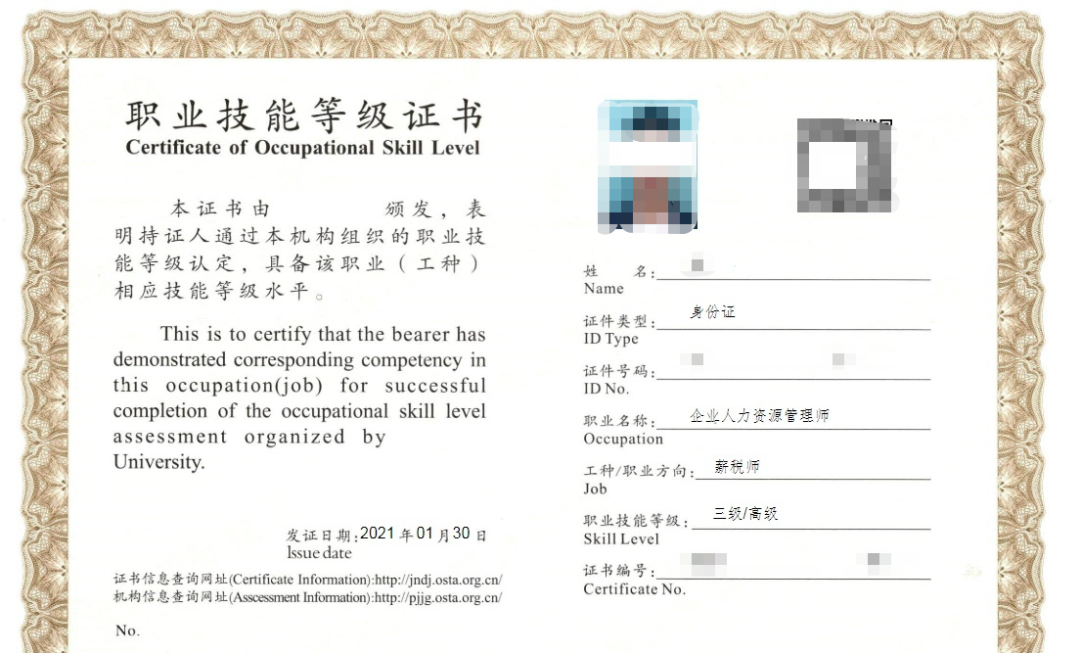1+X证书