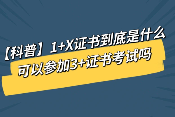 1+X证书