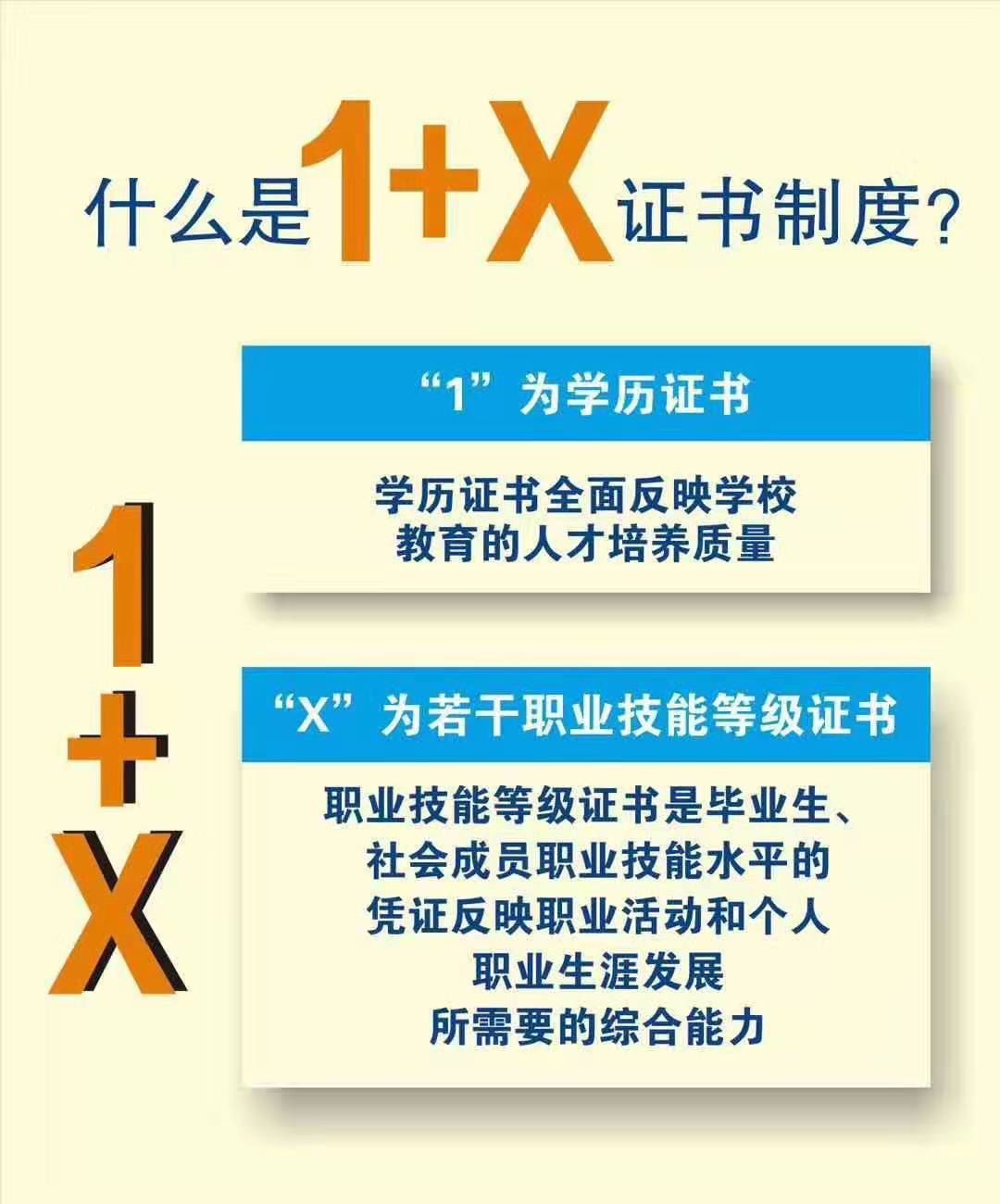 1+X证书制度