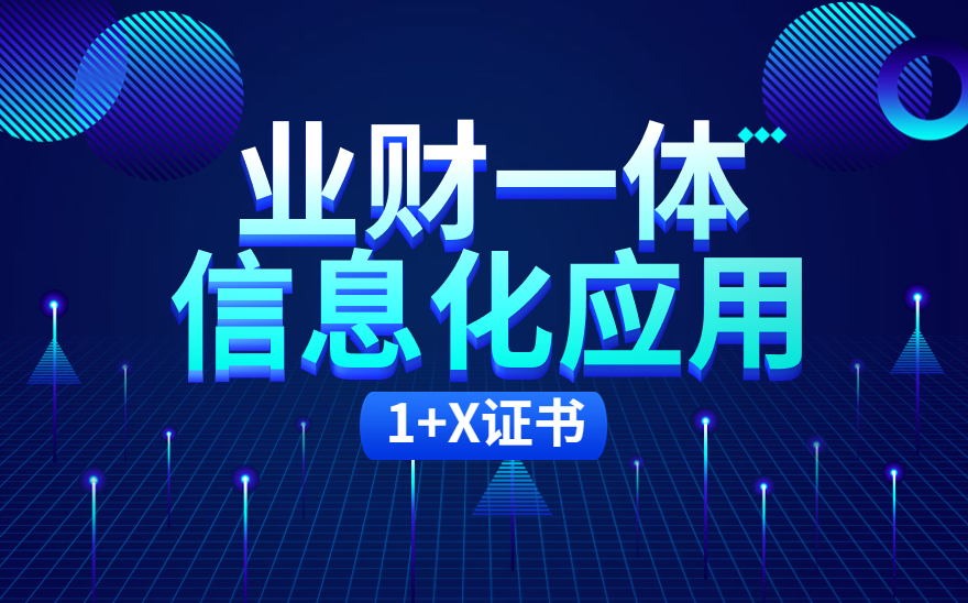 1+X财务数字化应用证书、1+X业财一体信息化应用证书全国统一考试。