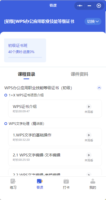 WPS 1+X证书