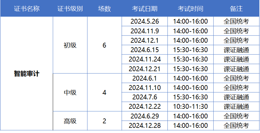 1+X智能审计证书