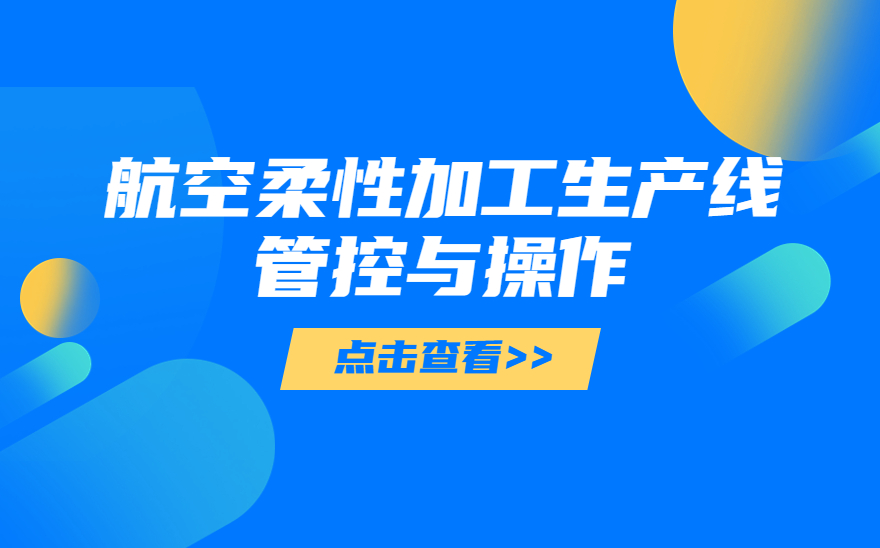 航空柔性加工生产线管控与操作职业技能等级的分类与标准