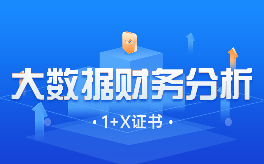 《大数据财务分析》1+X证书