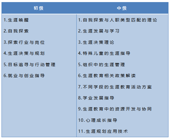 1+X生涯规划指导证书