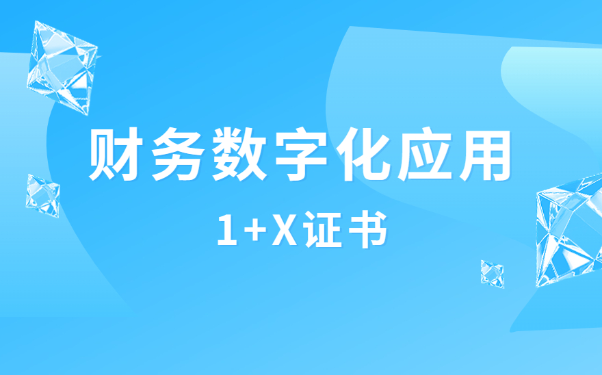 1+X财务数字化应用证书